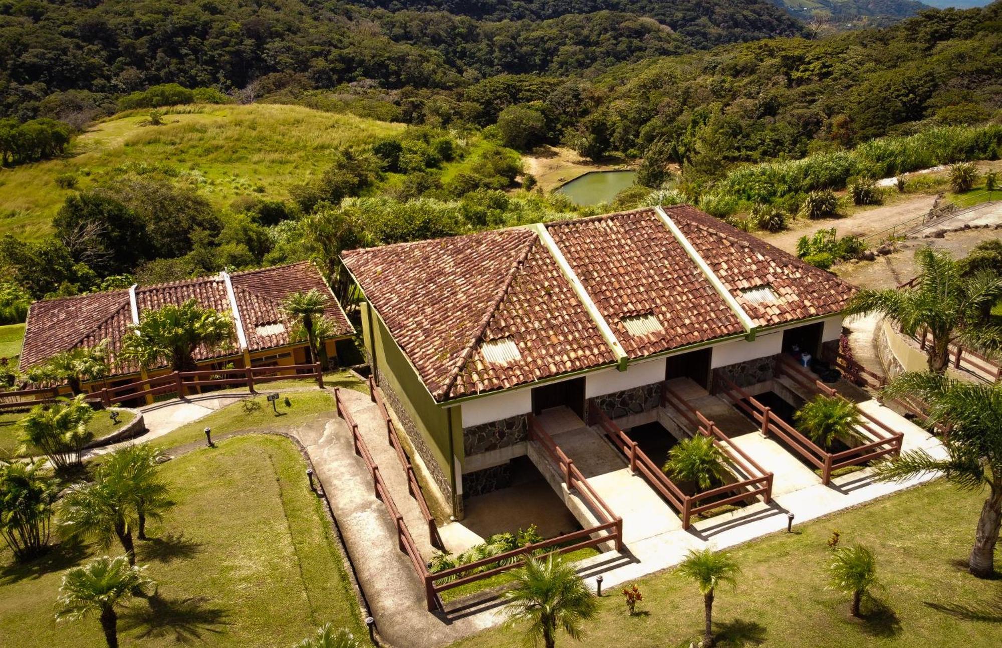 Hotel Montana Monteverde Extérieur photo