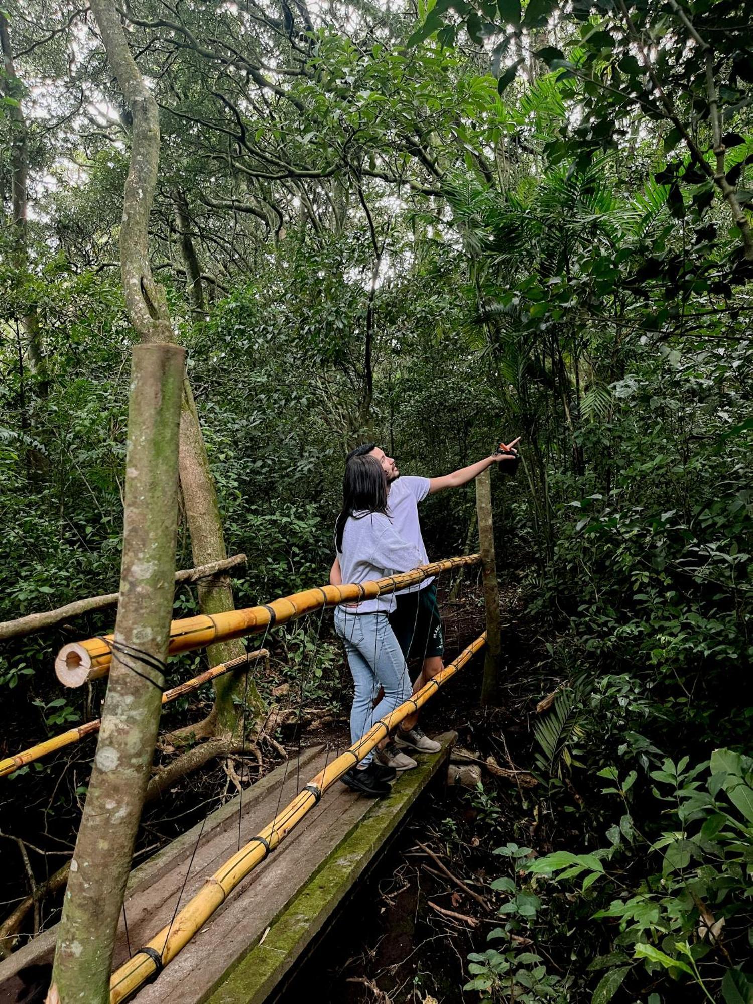 Hotel Montana Monteverde Extérieur photo